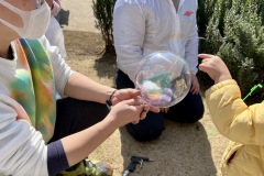 74C20626-146B-4B74-A64D-9FC7F2BE938C