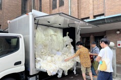 ADE27D99-DED0-4A15-BA28-A63D50040092