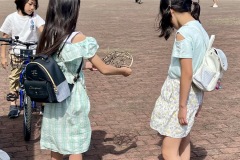 530059C1-772F-4B1A-9391-98D47751881E