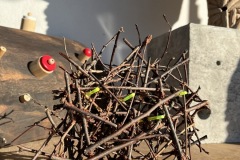 59A3FD01-2704-4C0F-B366-47977ABC89DD